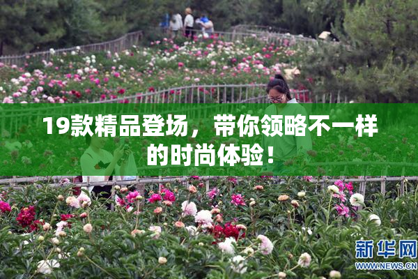 19款精品登场，带你领略不一样的时尚体验！