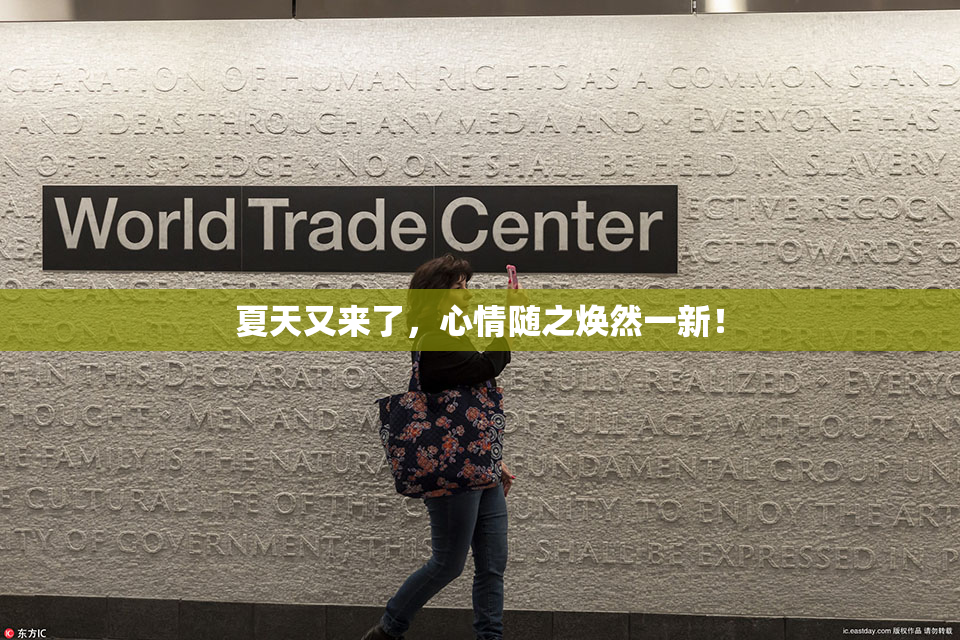夏天又来了，心情随之焕然一新！