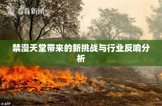 禁漫天堂带来的新挑战与行业反响分析