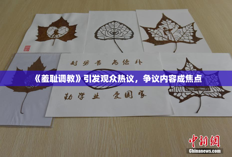 《羞耻调教》引发观众热议，争议内容成焦点