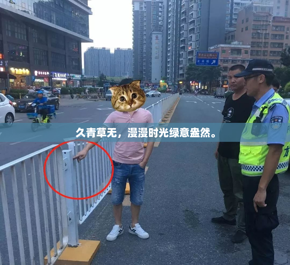 久青草无，漫漫时光绿意盎然。