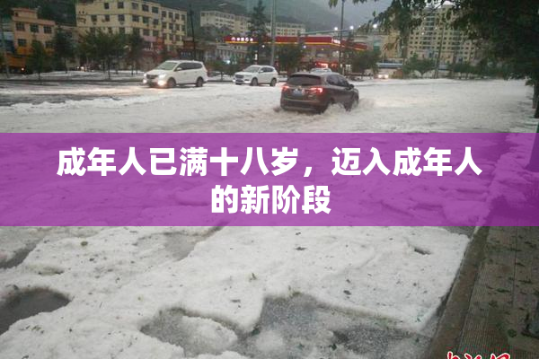 成年人已满十八岁，迈入成年人的新阶段