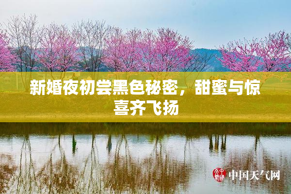 新婚夜初尝黑色秘密，甜蜜与惊喜齐飞扬