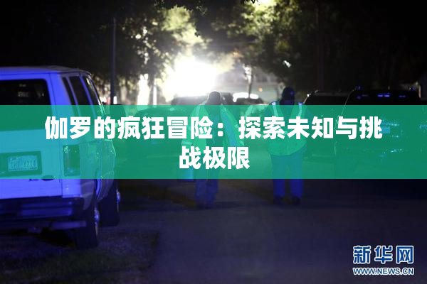 伽罗的疯狂冒险：探索未知与挑战极限