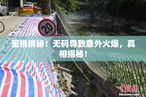 蜜桃销秘！无码导致意外火爆，真相揭秘！