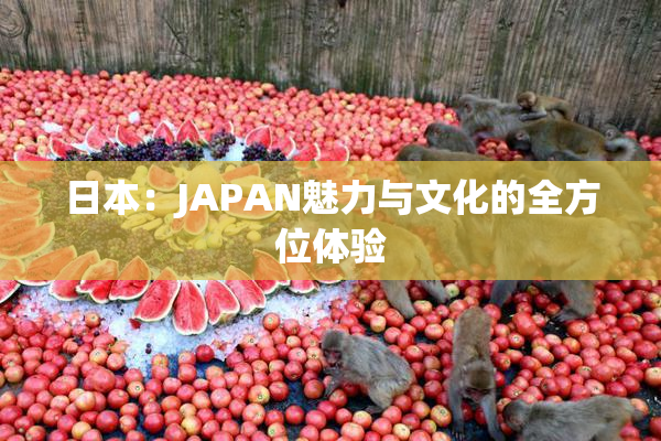 日本：JAPAN魅力与文化的全方位体验