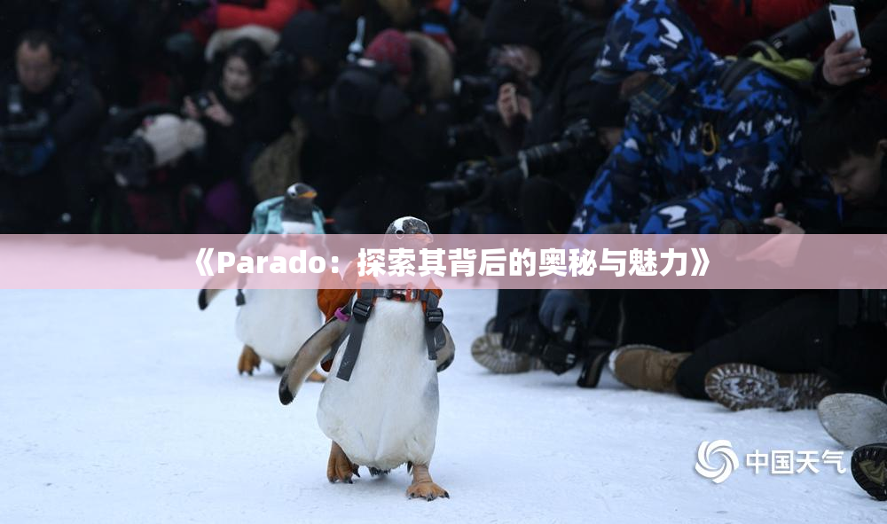 《Parado：探索其背后的奥秘与魅力》