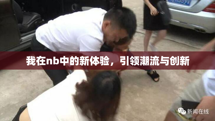 我在nb中的新体验，引领潮流与创新