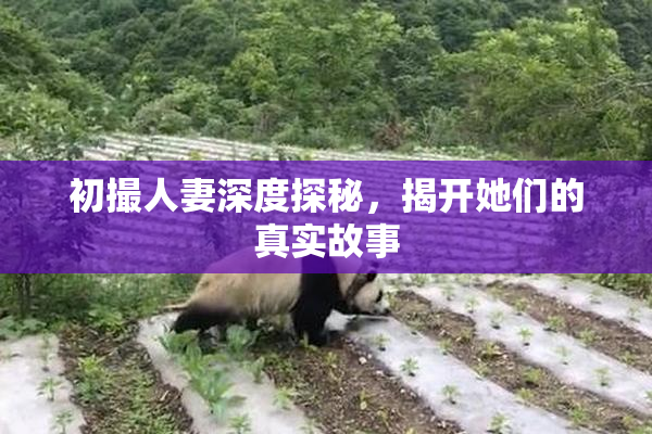 初撮人妻深度探秘，揭开她们的真实故事