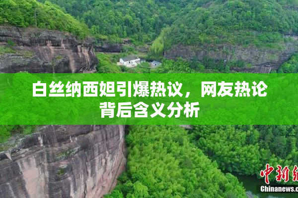 白丝纳西妲引爆热议，网友热论背后含义分析