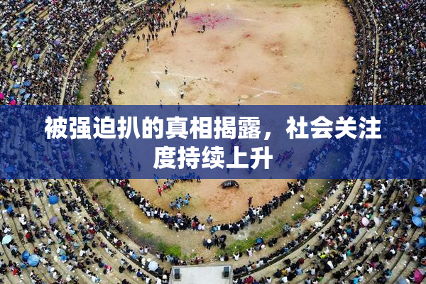 被强迫扒的真相揭露，社会关注度持续上升