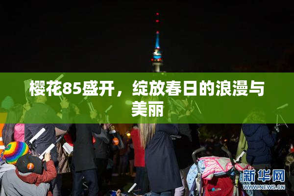 樱花85盛开，绽放春日的浪漫与美丽