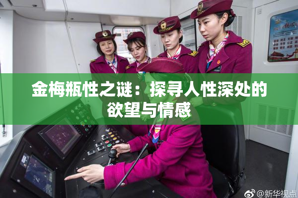金梅瓶性之谜：探寻人性深处的欲望与情感