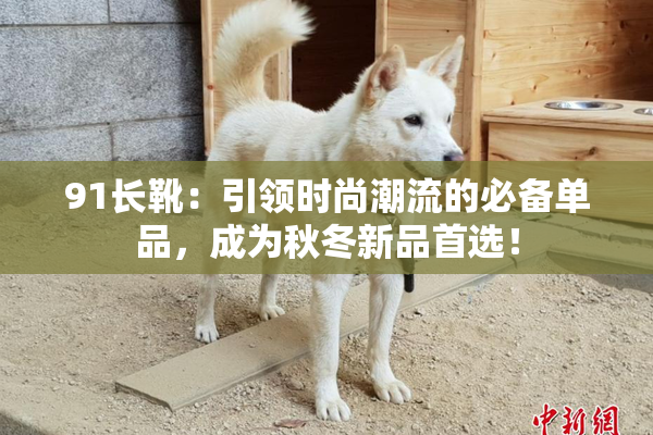 91长靴：引领时尚潮流的必备单品，成为秋冬新品首选！