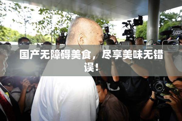 国产无障碍美食，尽享美味无错误！