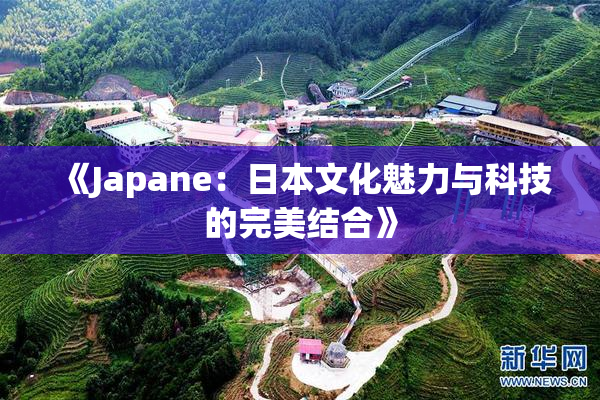 《Japane：日本文化魅力与科技的完美结合》
