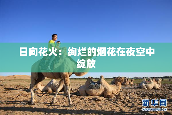 日向花火：绚烂的烟花在夜空中绽放