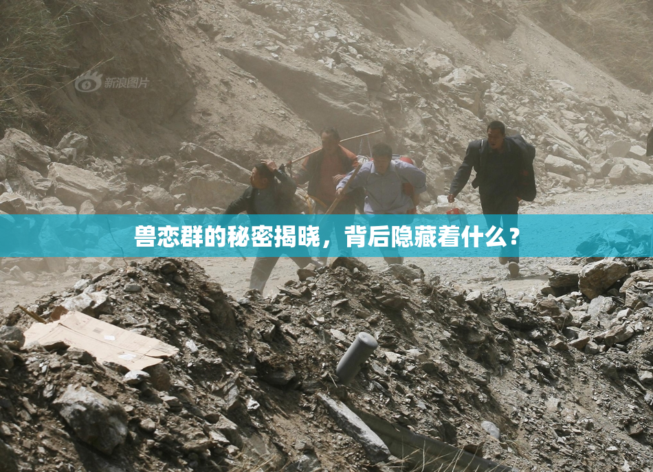 兽恋群的秘密揭晓，背后隐藏着什么？
