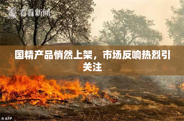 国精产品悄然上架，市场反响热烈引关注