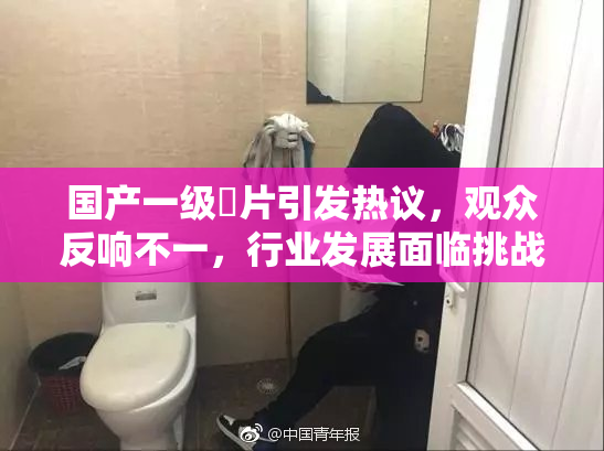国产一级婬片引发热议，观众反响不一，行业发展面临挑战