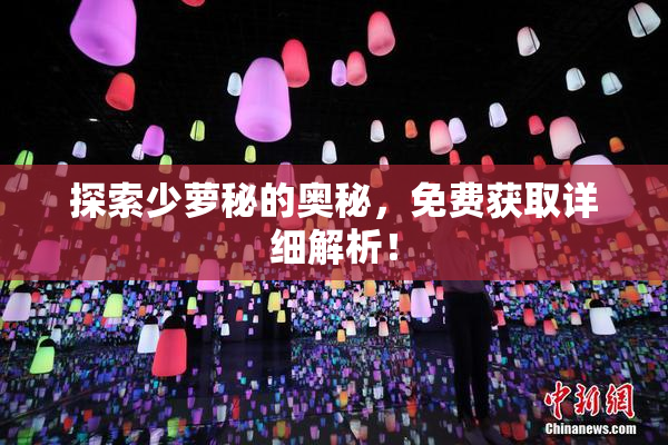 探索少萝秘的奥秘，免费获取详细解析！