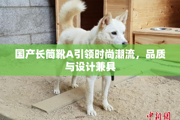 国产长筒靴A引领时尚潮流，品质与设计兼具