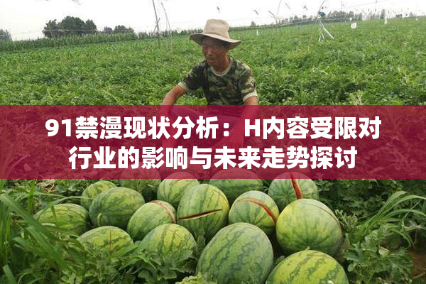 91禁漫现状分析：H内容受限对行业的影响与未来走势探讨