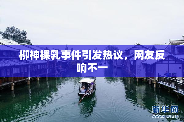 柳神裸乳事件引发热议，网友反响不一