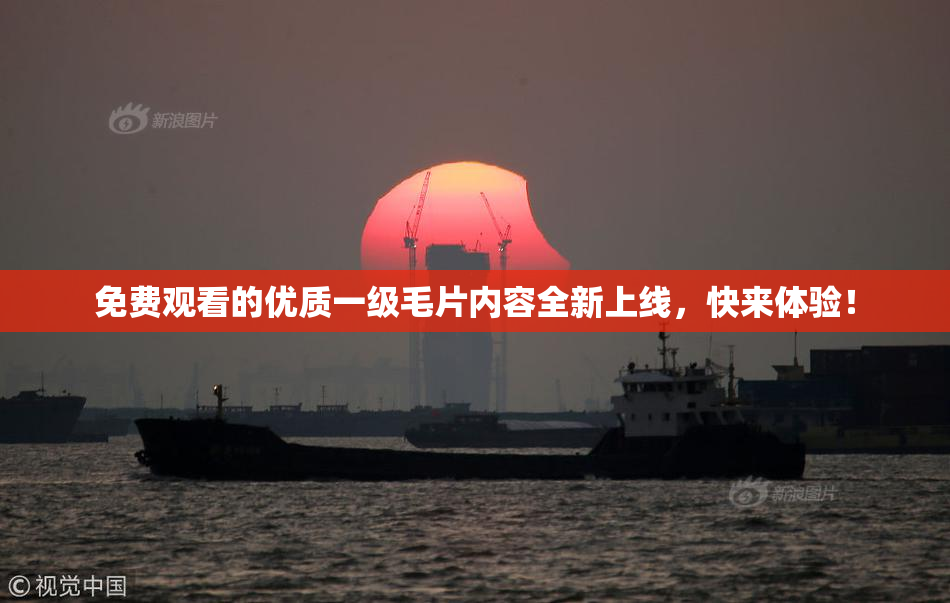 免费观看的优质一级毛片内容全新上线，快来体验！