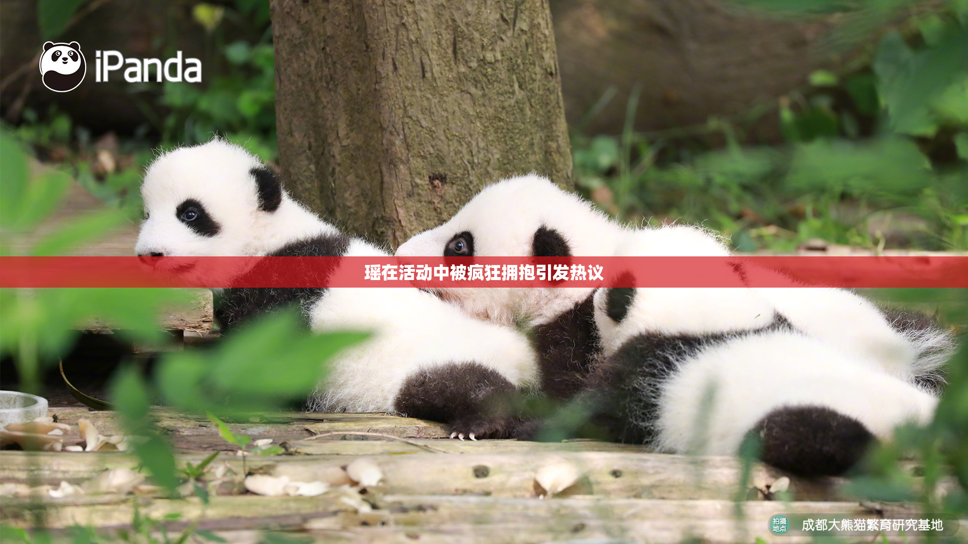 瑶在活动中被疯狂拥抱引发热议