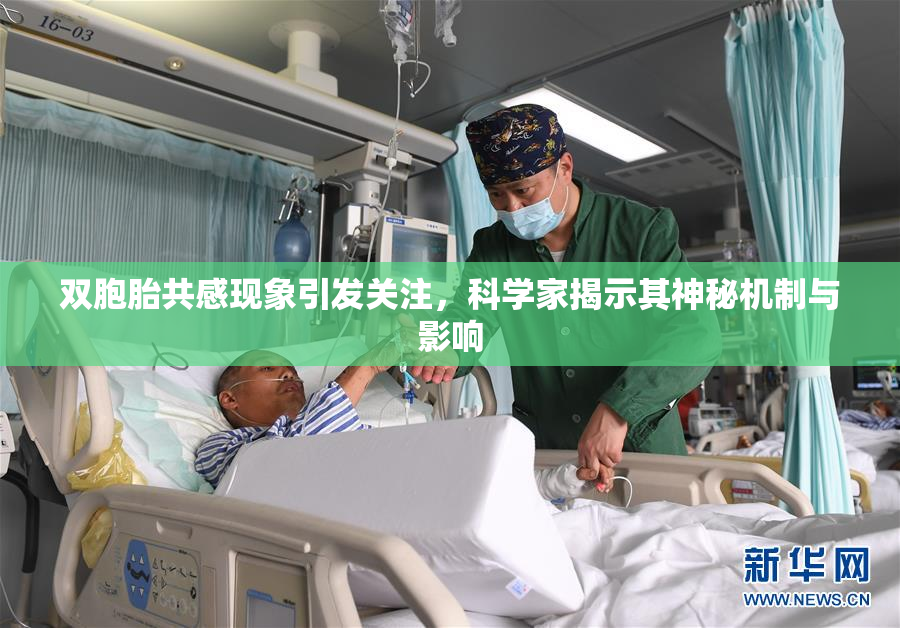 双胞胎共感现象引发关注，科学家揭示其神秘机制与影响
