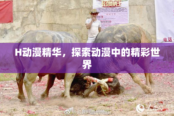 H动漫精华，探索动漫中的精彩世界