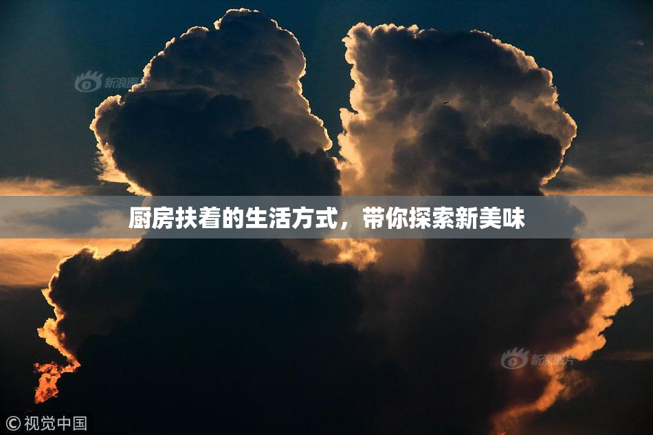 厨房扶着的生活方式，带你探索新美味