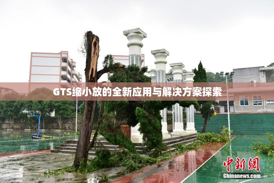GTS缩小放的全新应用与解决方案探索