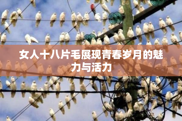 女人十八片毛展现青春岁月的魅力与活力