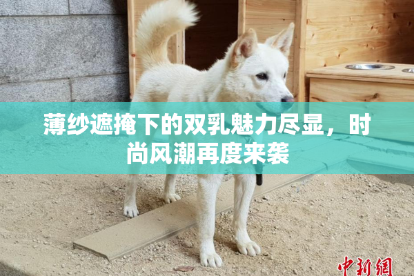 薄纱遮掩下的双乳魅力尽显，时尚风潮再度来袭