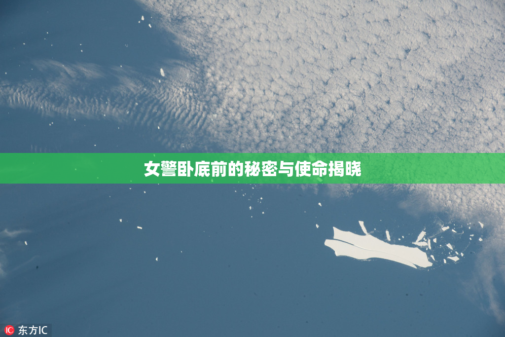 女警卧底前的秘密与使命揭晓