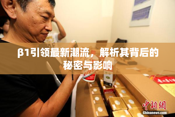 β1引领最新潮流，解析其背后的秘密与影响