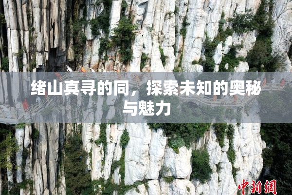 绪山真寻的同，探索未知的奥秘与魅力
