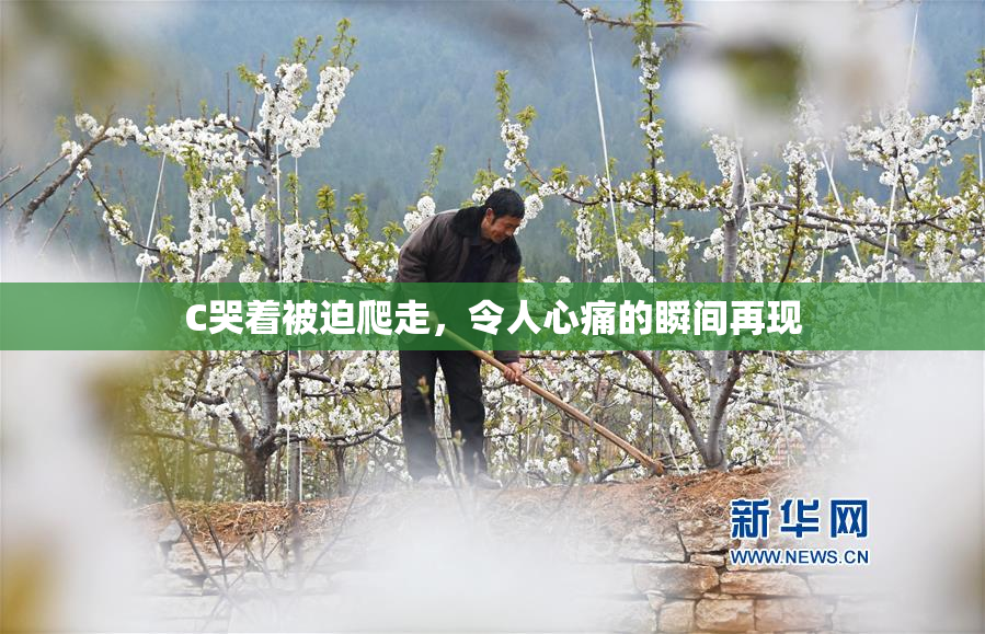 C哭着被迫爬走，令人心痛的瞬间再现