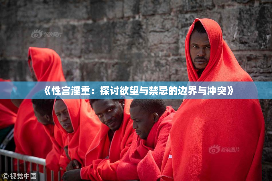 《性宫淫重：探讨欲望与禁忌的边界与冲突》