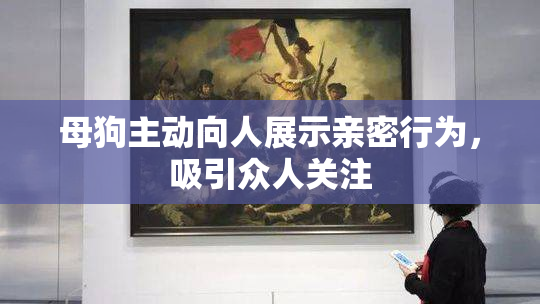 母狗主动向人展示亲密行为，吸引众人关注