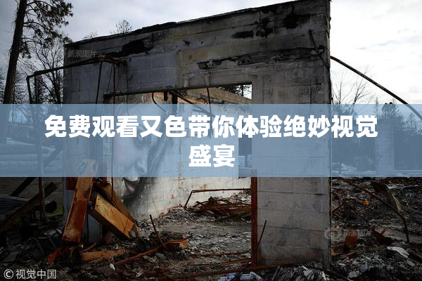 免费观看又色带你体验绝妙视觉盛宴