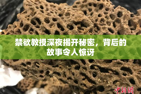 禁欲教授深夜揭开秘密，背后的故事令人惊讶