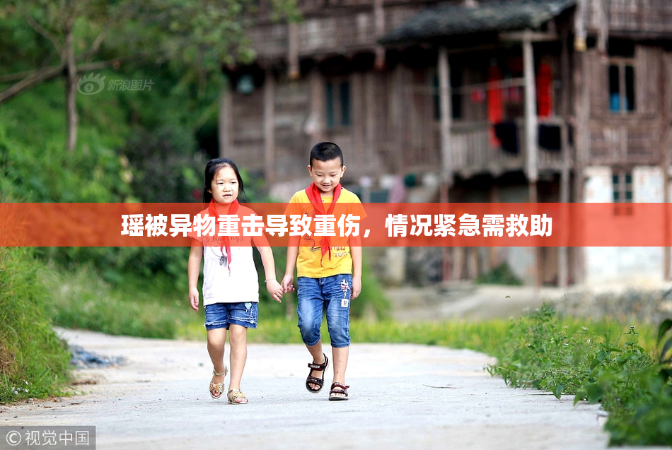 瑶被异物重击导致重伤，情况紧急需救助