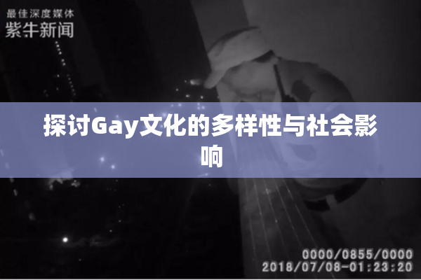 探讨Gay文化的多样性与社会影响