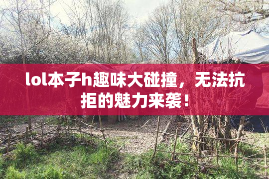 lol本子h趣味大碰撞，无法抗拒的魅力来袭！