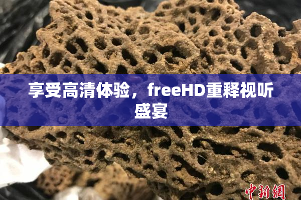 享受高清体验，freeHD重释视听盛宴