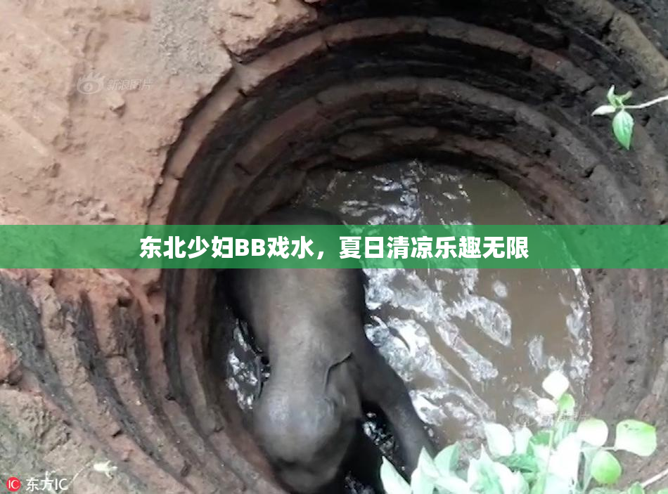 东北少妇BB戏水，夏日清凉乐趣无限