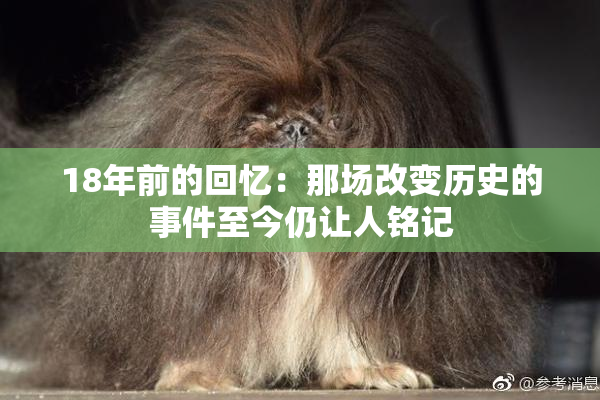 18年前的回忆：那场改变历史的事件至今仍让人铭记